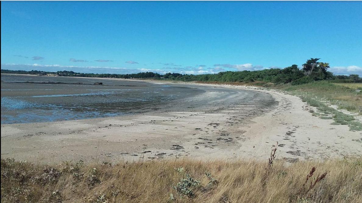 Maison Neuve , Plage A Pied Assérac エクステリア 写真